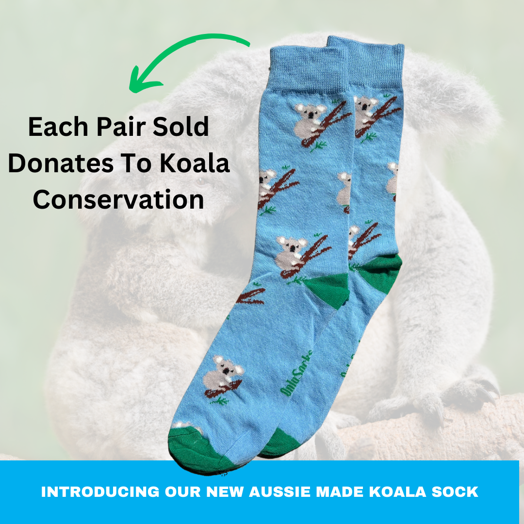 Australian-made cotton sock featuring a cute koala design, perfect for adding a fun and playful touch to your wardrobe while supporting local craftsmanship.